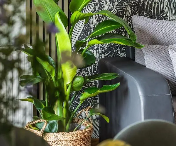 Ts New Town Comfy & Roomy שצ'צ'ין